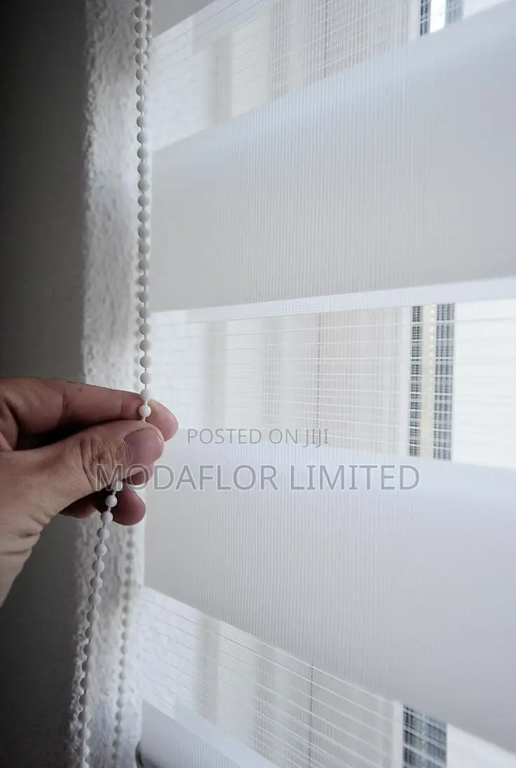 Zebra Window Blinds for Home, Office and Modern Interior Spaces