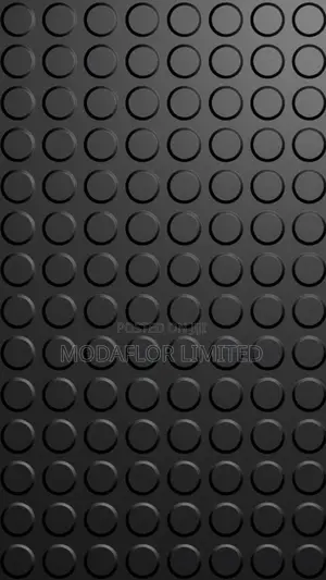 Rubber Coin Flooring for Gym, Garage and Industrial Floor Use