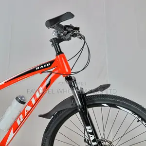 Raid Size 29er Mountain Bike for Adults