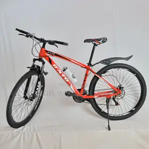 Raid Size 29er Mountain Bike for Adults