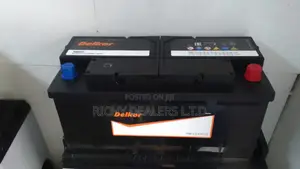Delkor Din100mf Car Battery
