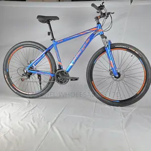 Xbicycle Size 29 Adult Alluminium Bike