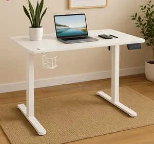 Standing Desk;Electric Adjustable Desk for Home and Office (1.2m)
