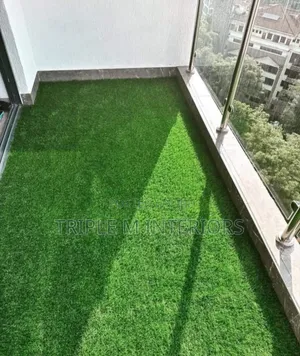Make Your Space Beautiful | Achieve It With Our Grass Carpet