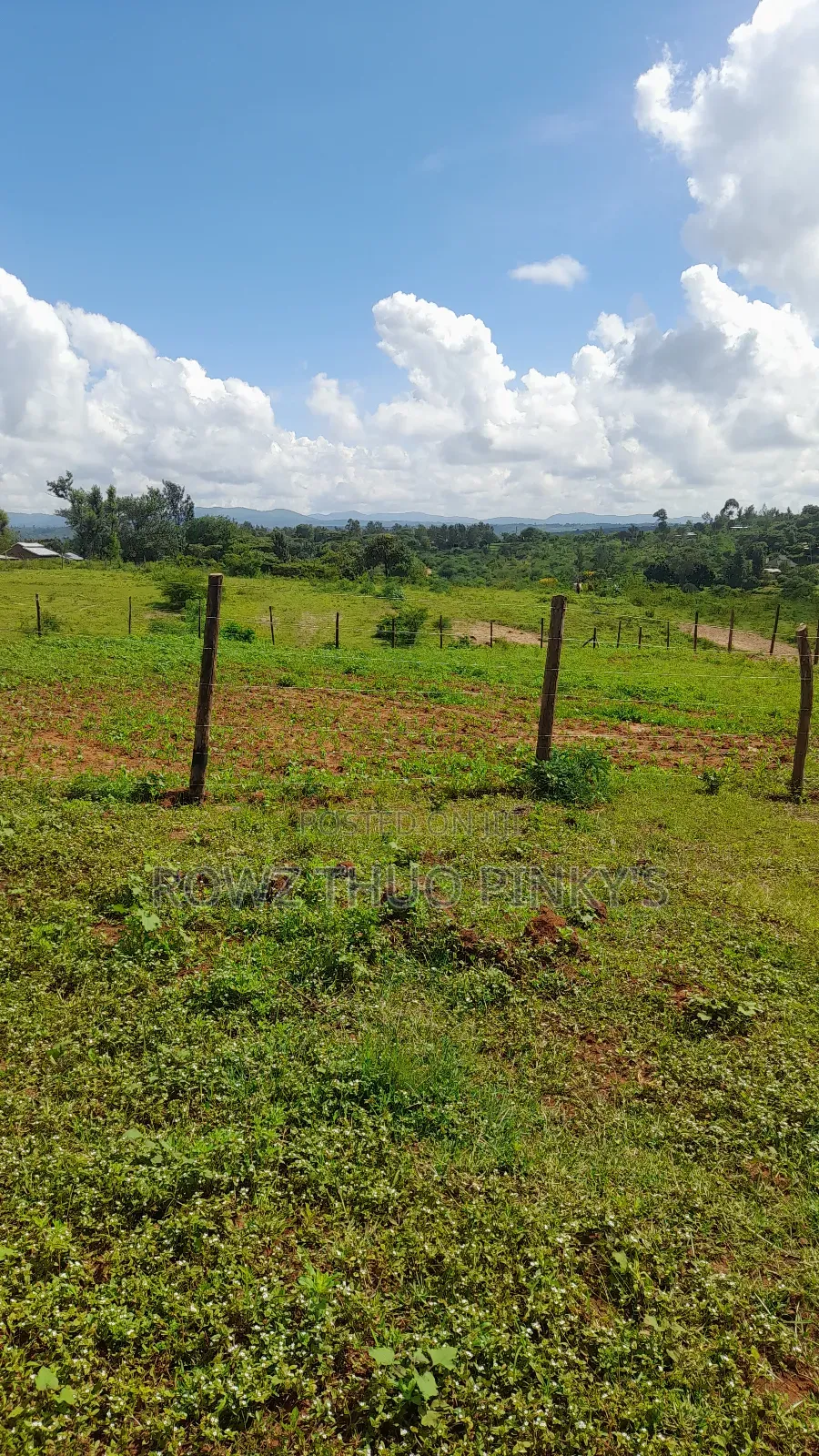 50x100 Plots Sizes