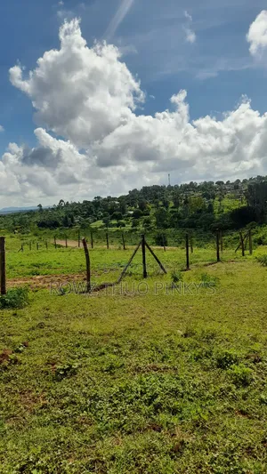 50x100 Plots Sizes