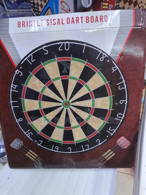 Dart Board Professional - main view