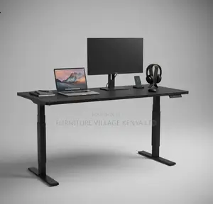 Standing Desk;Electric Adjustable Desk for Home and Office (1.2m)