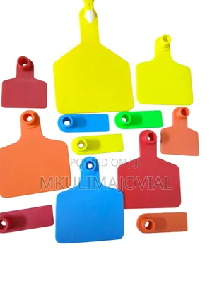 Plain Ear Tags - Simple Id For Cows, Sheep And Goats