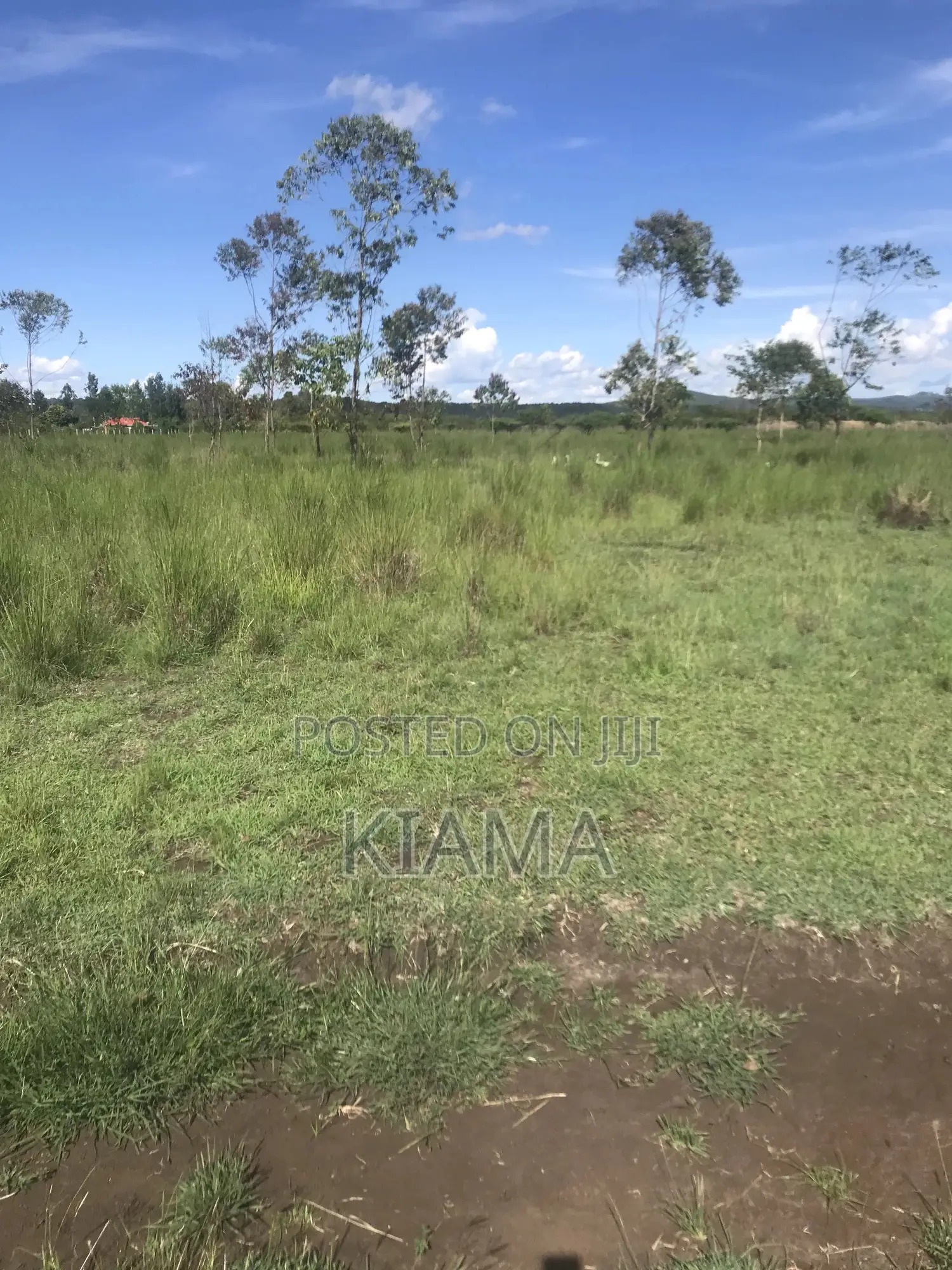 Prime Land for Sale