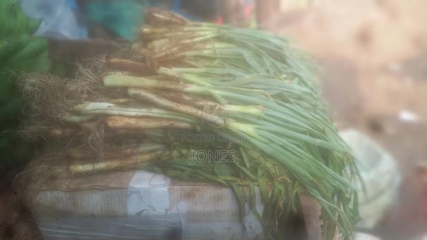 Red Onions
