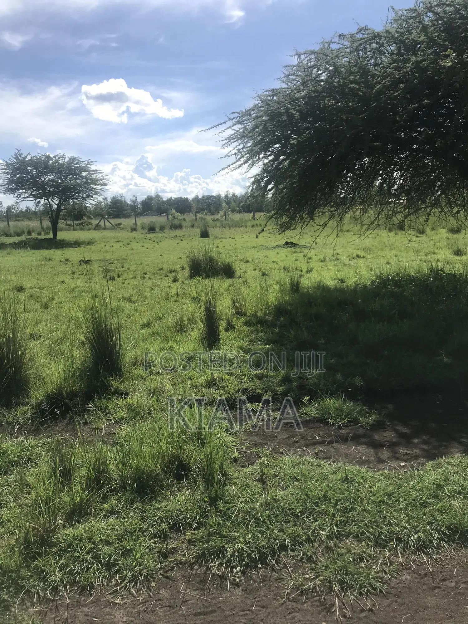 Prime Land for Sale