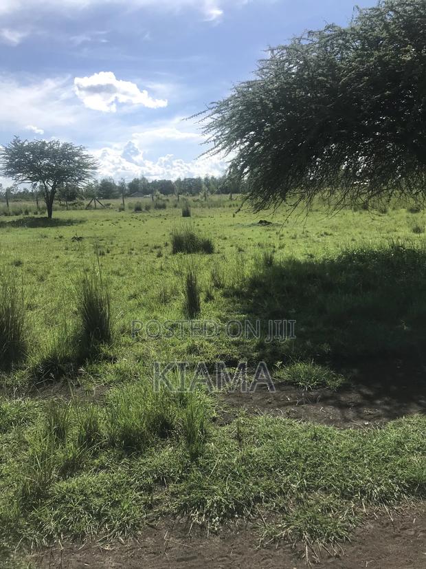 Prime Land for Sale - thumbnail 3