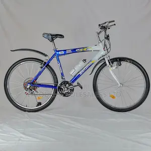 Beijing 26′′ Steel Bike for Teens With Endbar Horns