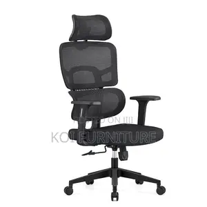 Office Chairs; Executive Orthopdic Design Superior Office Seats