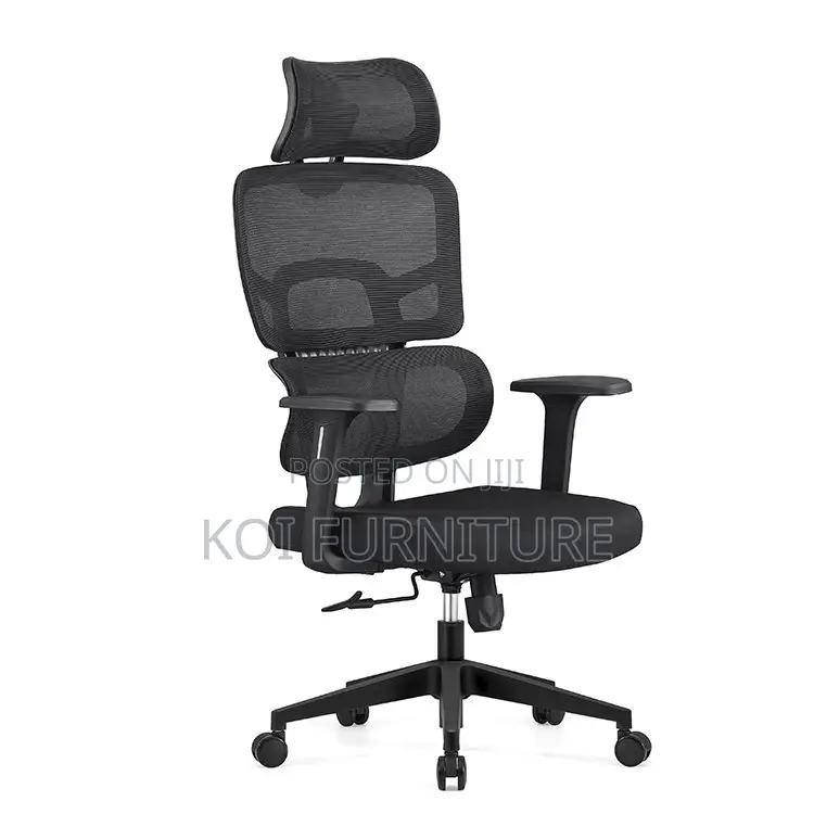 Office Chairs; Executive Orthopdic Design Superior Office Seats