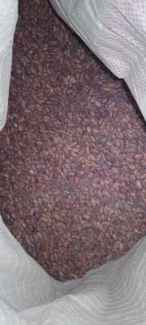 Beans on Sale in Cheptais