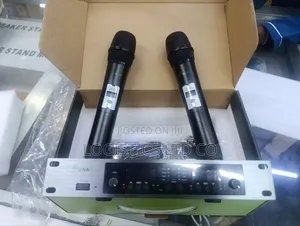 Best BNK Wireless Microphone Es-200 300meters
