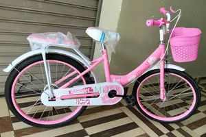 20” Pink Xikuxing Kids Bicycle - GFT