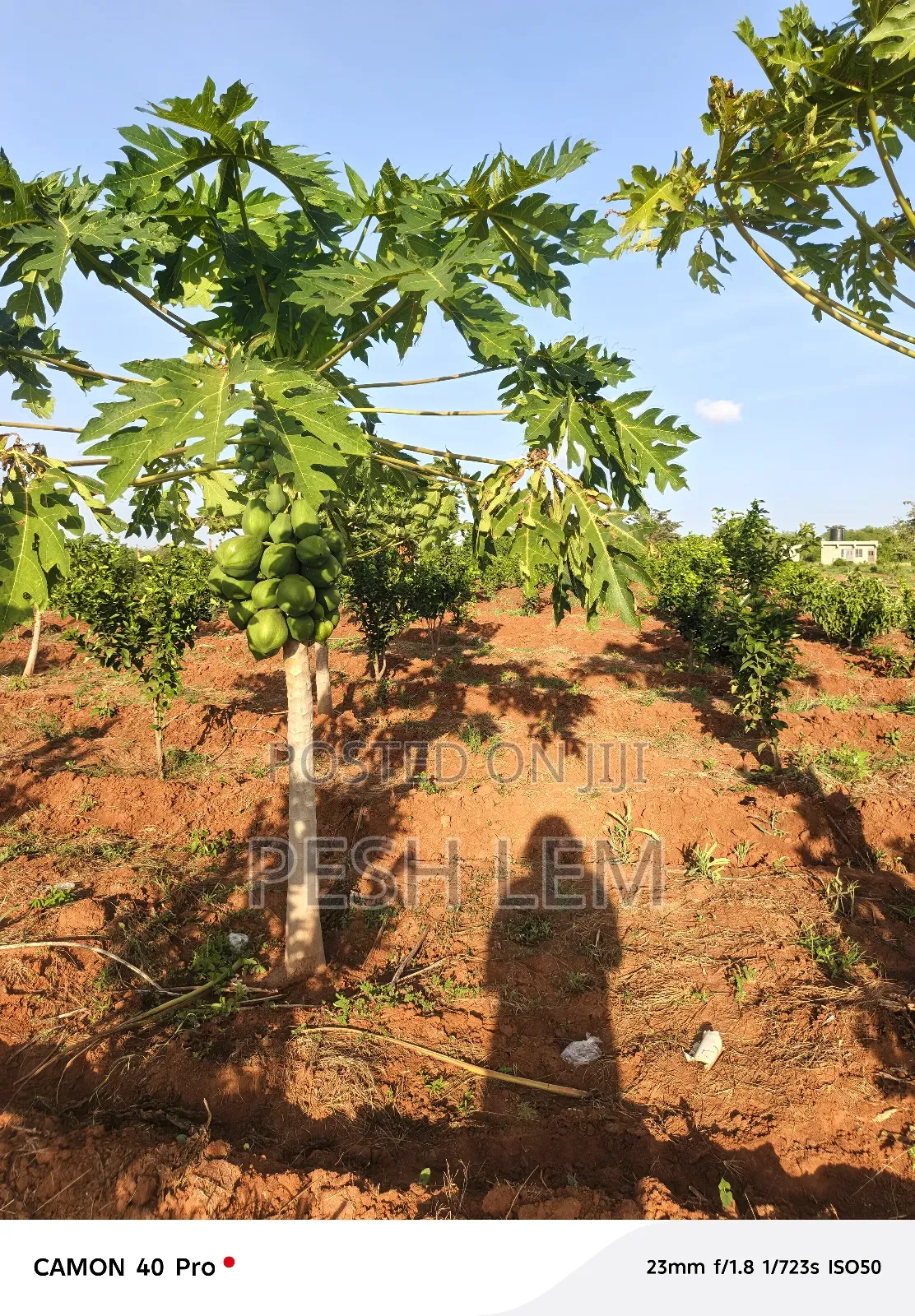 Matuu Plots