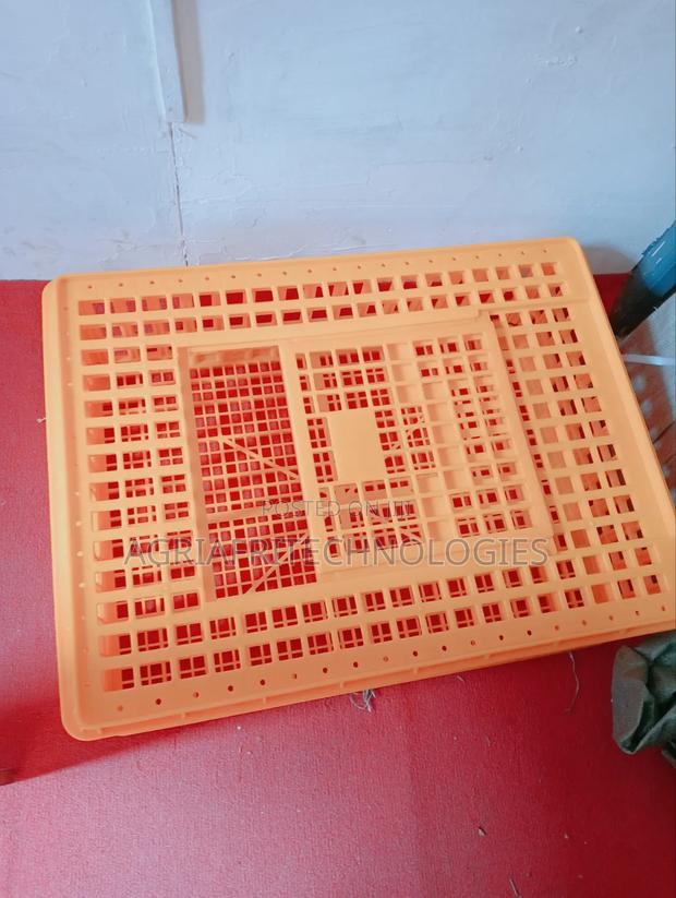 Poultry Carrier Transport Crates, Mature Layers,Broiler Carrier.