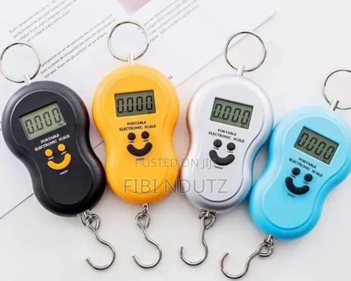 Digital Spring Balance Weighing Scale/Digital Weighing Scale