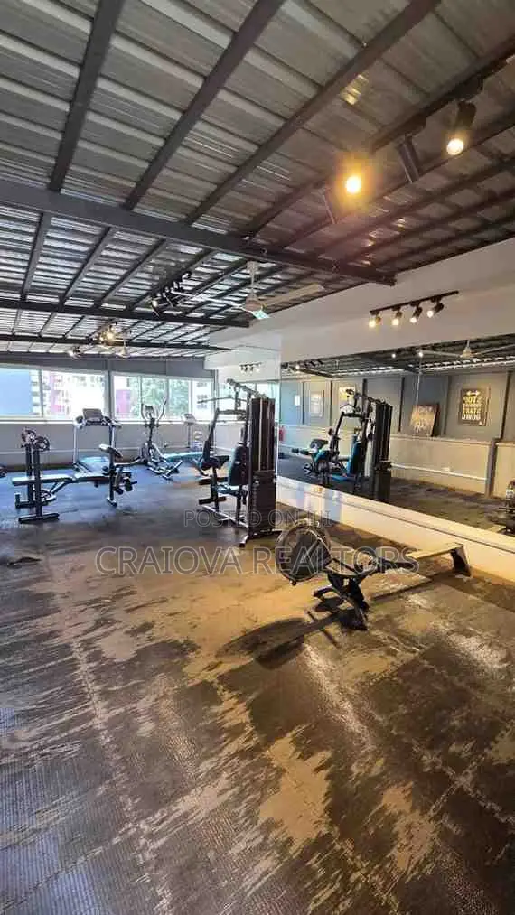 Furnished 2bdrm Penthouse in Spring Valley for rent
