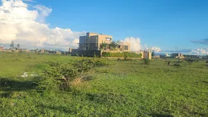 50by100 Juja Kalimoni