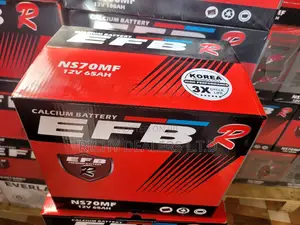 Efb Ns70mf Car Battery