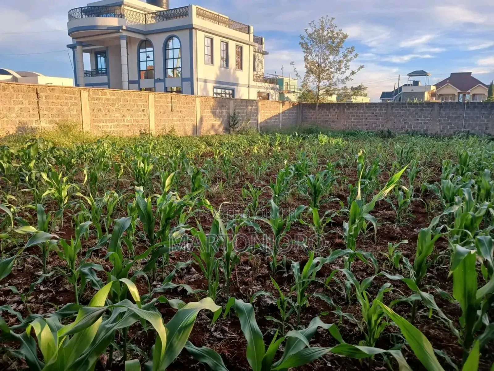 Kenyatta Road Theta Estate