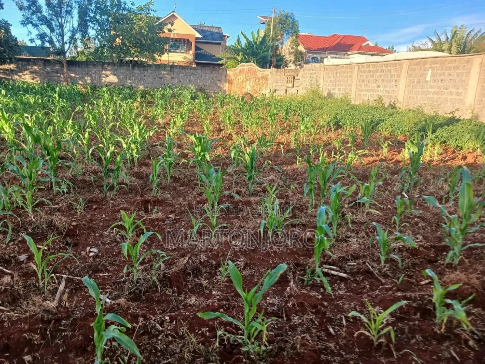 Kenyatta Road Theta Estate