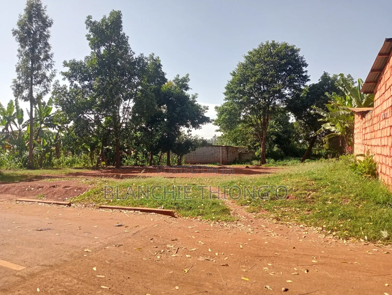 3/4 Acres Plot
