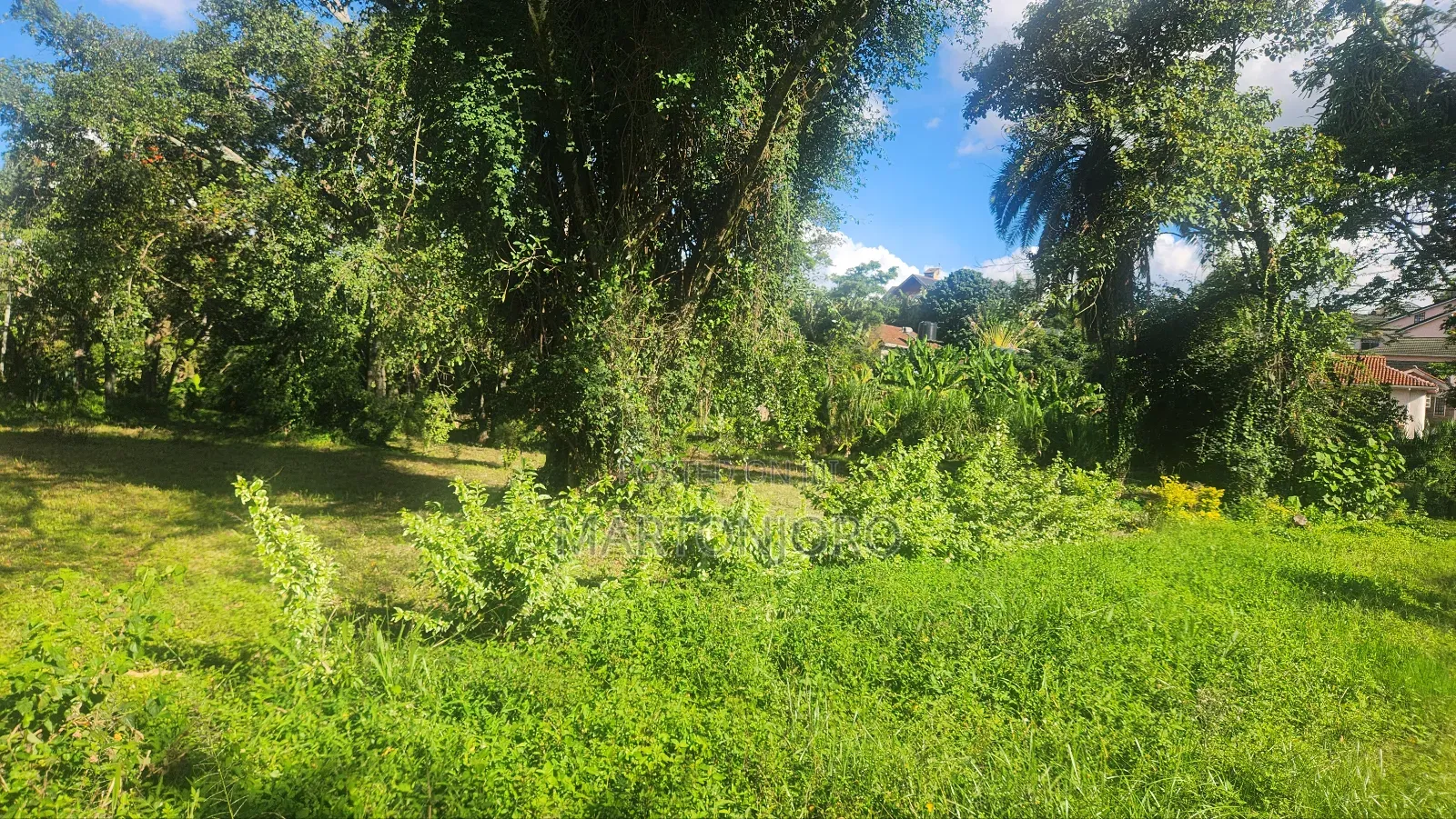 1.5 Acres Gatundu Town