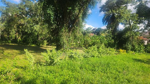 1.5 Acres Gatundu Town - thumbnail 2