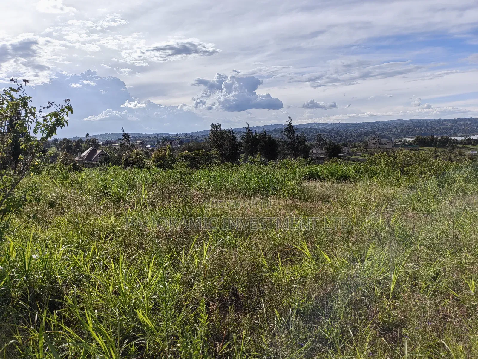 Quarter Acre Gikambura Kikuyu.