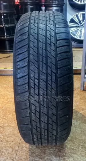 265/55r19 Dunlop At23