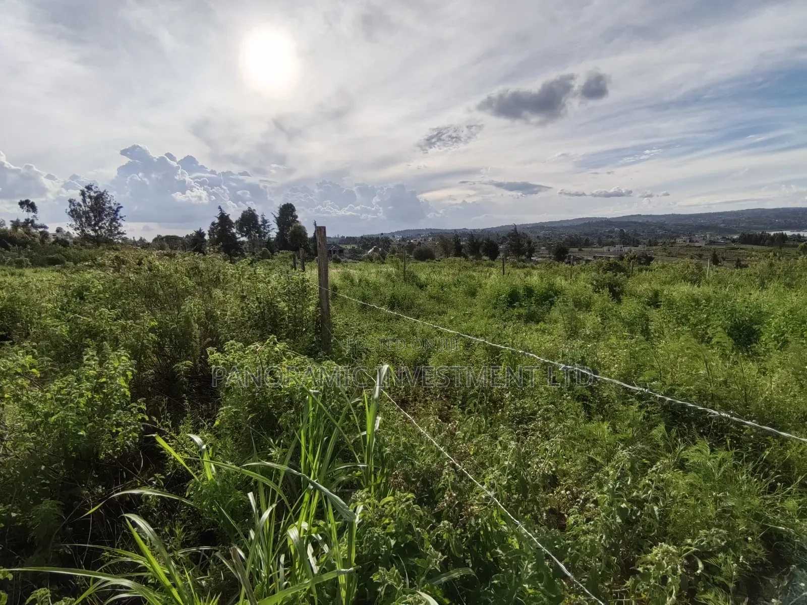 Quarter Acre Gikambura Kikuyu.