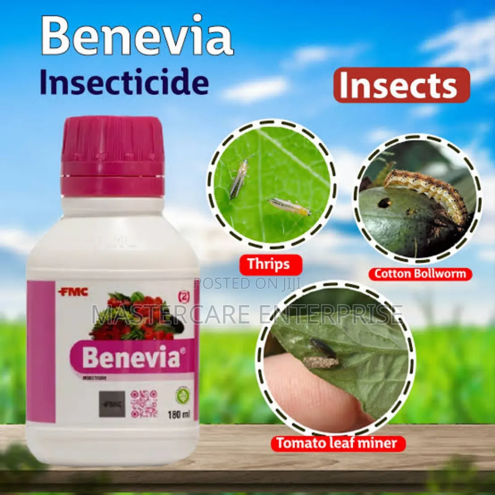 Benevia 10% Insecticide