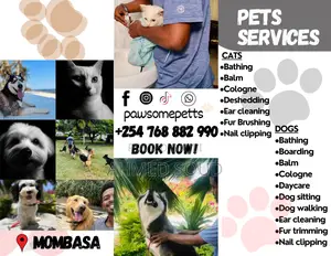 For Pets Services (Boarding, Grooming, Transport Walking)