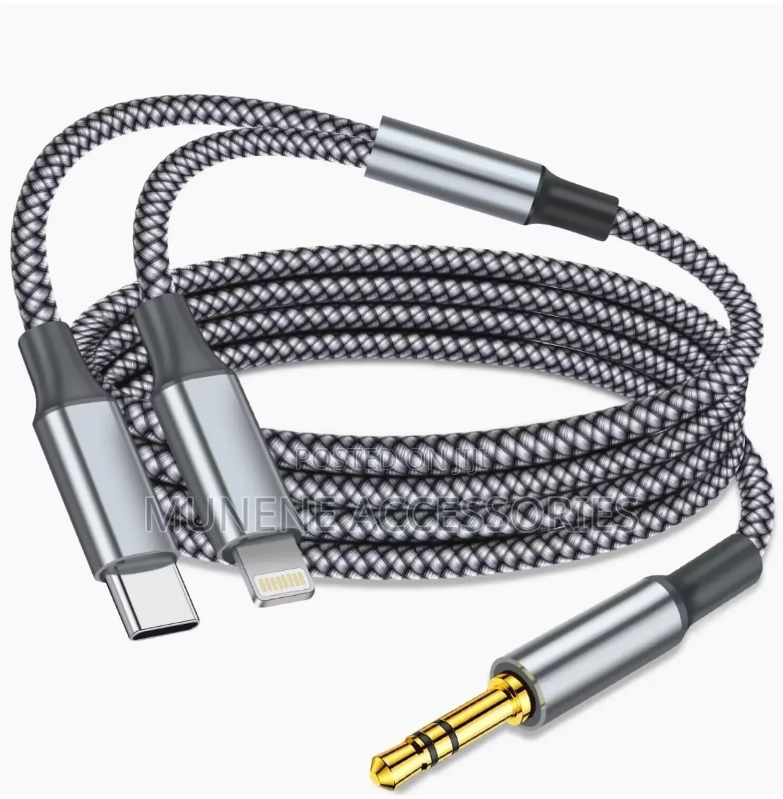2-in-1 Aux Audio Cable Usb C to 3.5mm Aux Lightning to Audio Cable