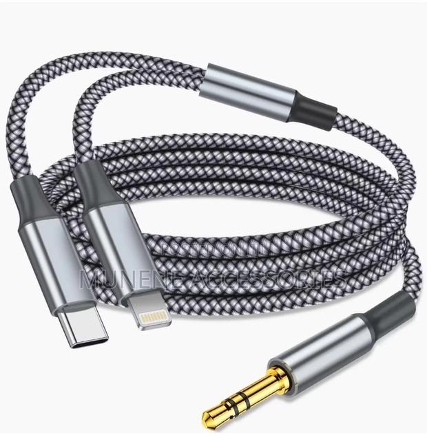 2-in-1 Aux Audio Cable Usb C to 3.5mm Aux Lightning to Audio Cable