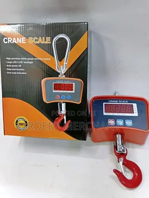 Ideal Crane Scale/500kgs Crane Scale