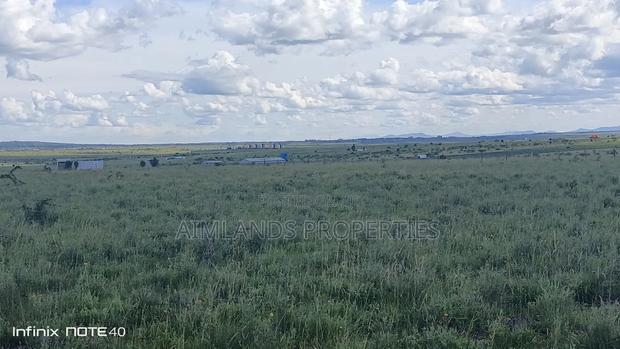 Konza 50 by 100 Plots