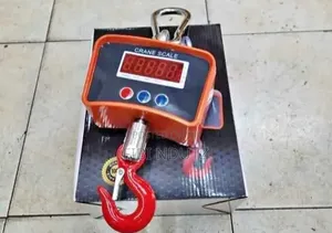 500kg Crane Scale/500kg Crane Scale