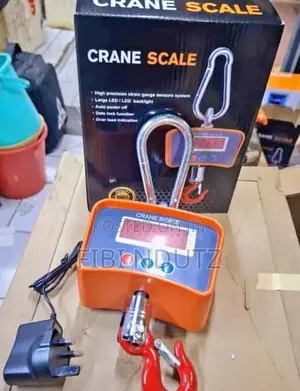 Large Crane Scale of 500kg/Large Scale