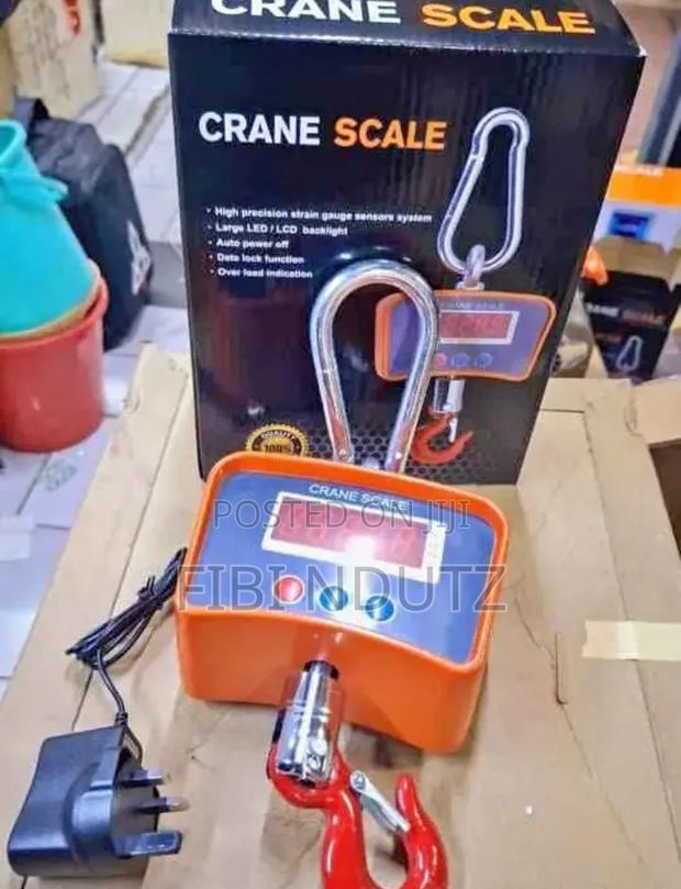 Large Crane Scale of 500kg/Large Scale