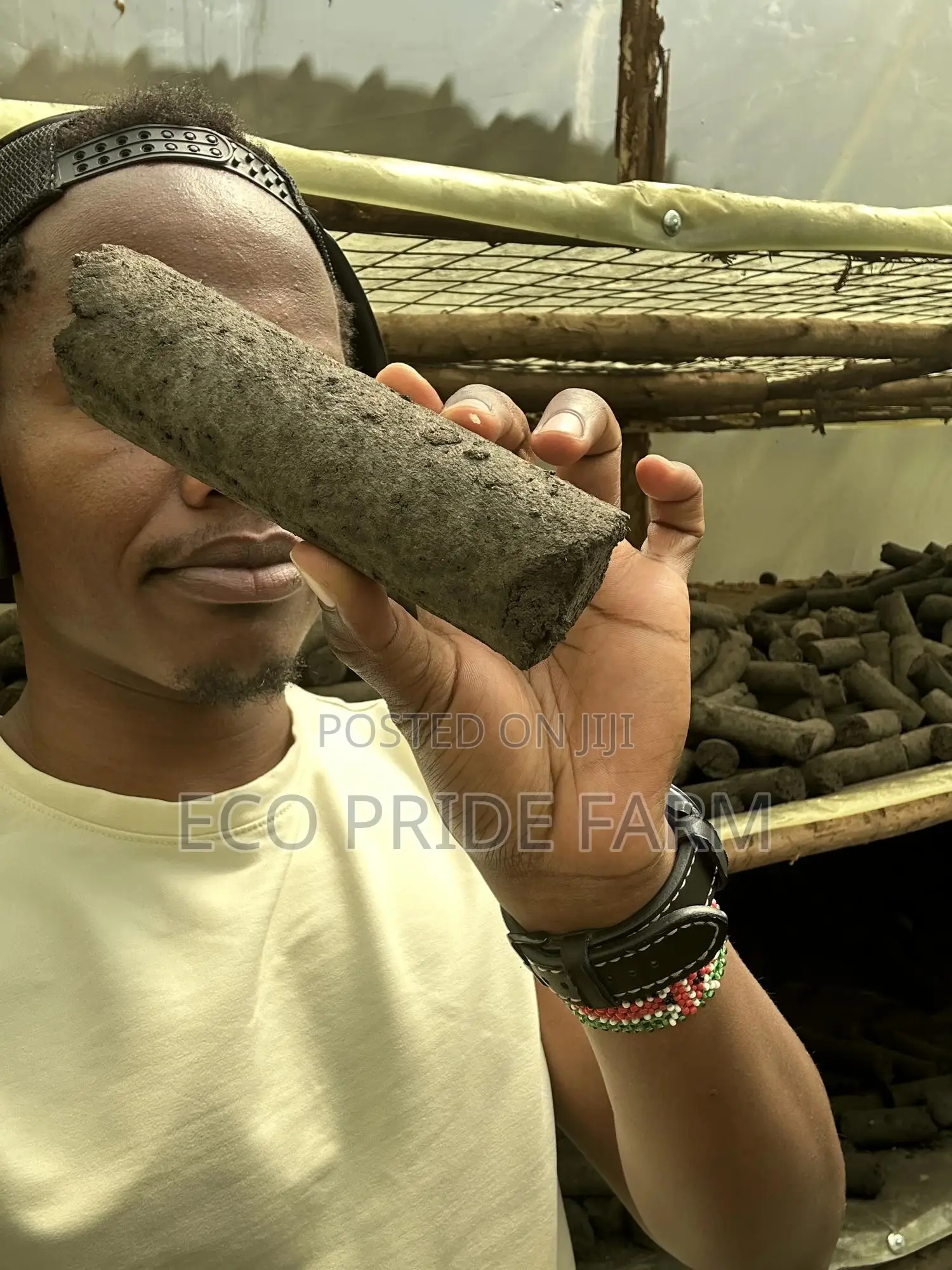 Charcoal Briquettes