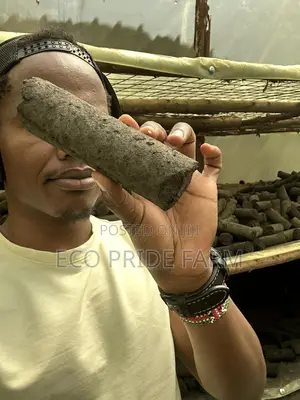 Charcoal Briquettes