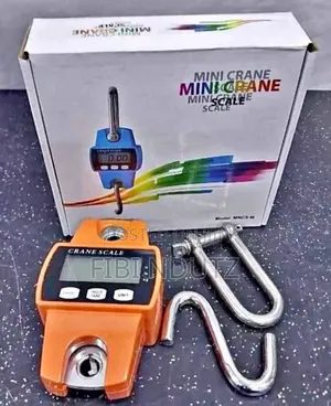 Mini Crane Scale of 300kg/Mini Crane Scale
