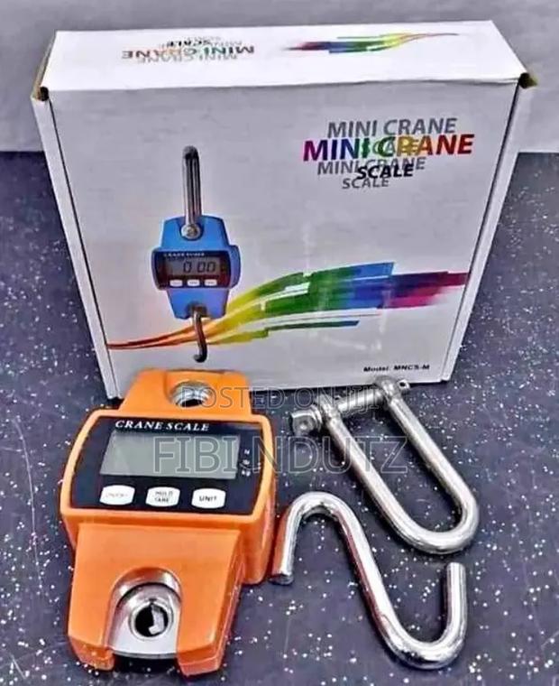 Mini Crane Scale of 300kg/Mini Crane Scale